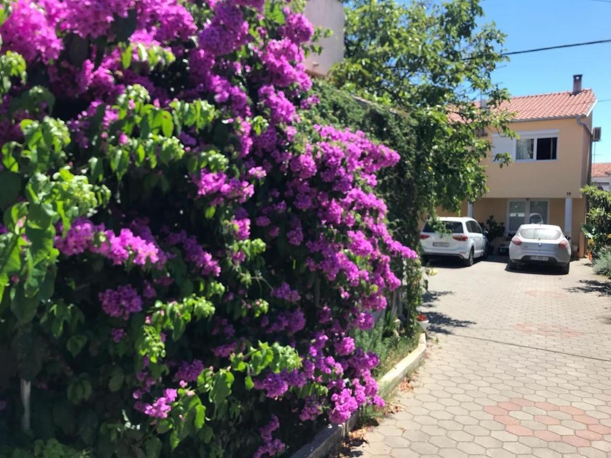 Lipo Je Apartment Zadar Exterior foto
